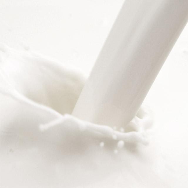 现代牧业